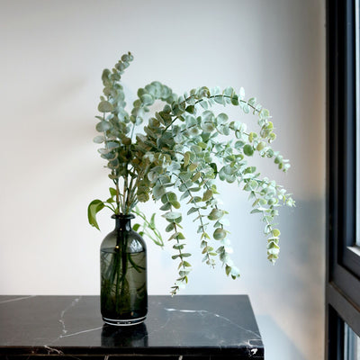Eucalyptus plant in a dark glass vase on a marble table.