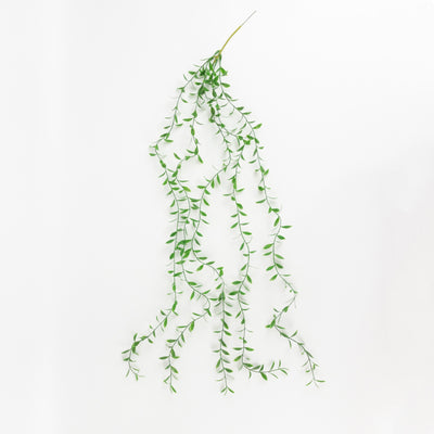 Artificial green vine with delicate leaves on a white background