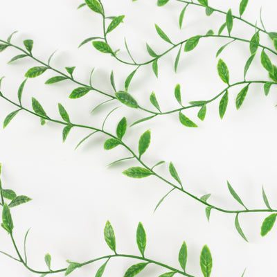 Artificial green vine leaves on a white background
