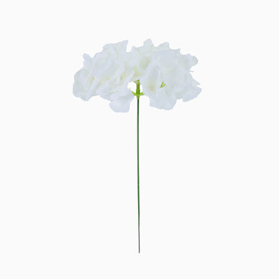 White flower stem on a plain background