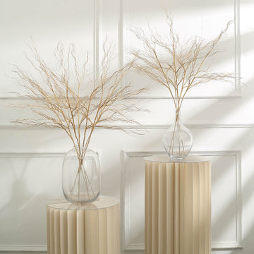 Create a Rustic Charm with Decorative Dried Twigs
