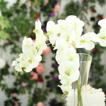 Create Timeless Beauty with Cream Silk Orchid Bouquets