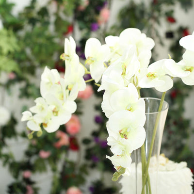 White orchids in a glass vase with a blurred floral background.