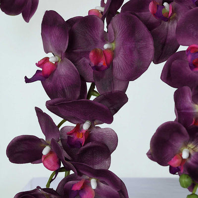 Purple orchid flowers arranged beautifully in a studio setting.