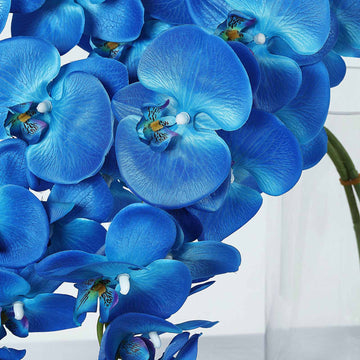 Captivating Royal Blue Orchid Flower Bouquets
