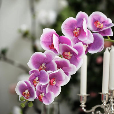 Pink orchid flower arrangement with candles in the background.