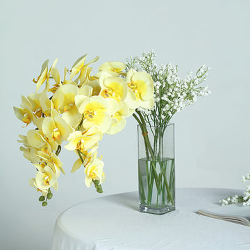 Brighten Your Space with White and Yellow Orchid Bouquets