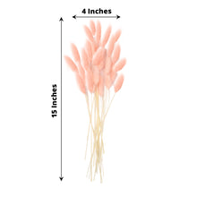 50 Pack | 15inch Blush Rose Gold Rabbit Tail Dried Pampas Grass Flower Bouquets