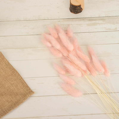 Pink bunny tail grass stems on a rustic wooden surface.