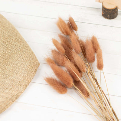 Dried fluffy brown grass stems with a burlap sack on a wooden surface.