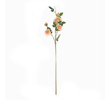 Versatile and Captivating Peach Rose Bouquet for Various Occasions