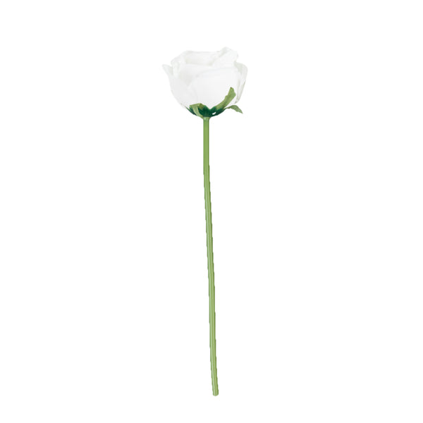 White rose flower stem on a plain background #whtbkgd