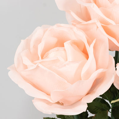 Close-up of pale pink peony blooms against a light background#whtbkgd