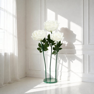 White roses in a sunlit minimalist room with sheer curtains and wall shadows