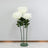 White roses in a green stand against a plain wall backdrop