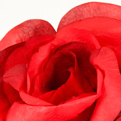 Close-up of vibrant red rose petals in macro detail
