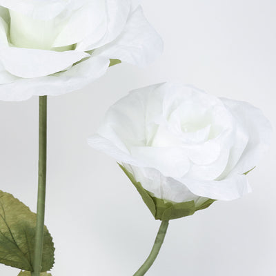 White roses on stems with green leaves against a soft white background