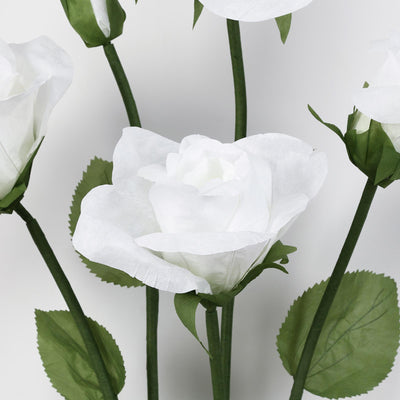 White rose with green stems and leaves on a light background