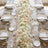 Elegant wedding table centerpiece with white roses, gold accents, and crystal glassware