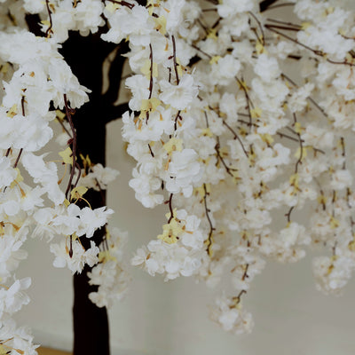 Artificial cherry blossom tree with white flowers and dark trunk. #whtbkgd