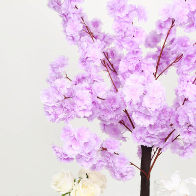Lavender cherry blossom tree with delicate flowers on a white background