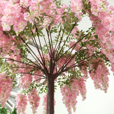 Pink flowering tree with lush green leaves against a plain backdrop.