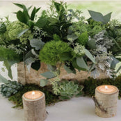 Artificial Plants & Greenery