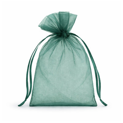 Green organza gift bag with drawstring closure  #whtbkgd