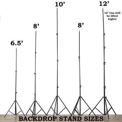 Backdrop stands in various heights: 6.5', 8', 10', and 12' for photography use.