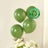 Green biodegradable balloons with eco-friendly label