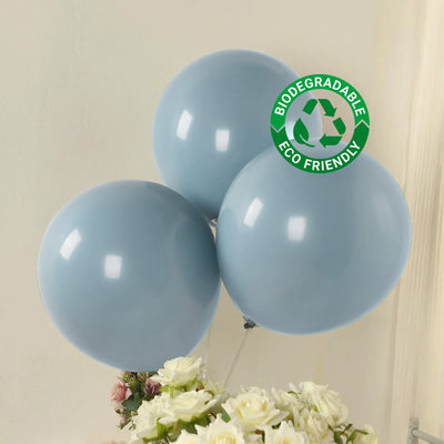 Blue biodegradable balloons with eco-friendly symbol