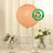 Biodegradable peach balloon with eco-friendly label on a table setting.