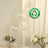 Clear biodegradable balloons with eco-friendly label in a soft setting.