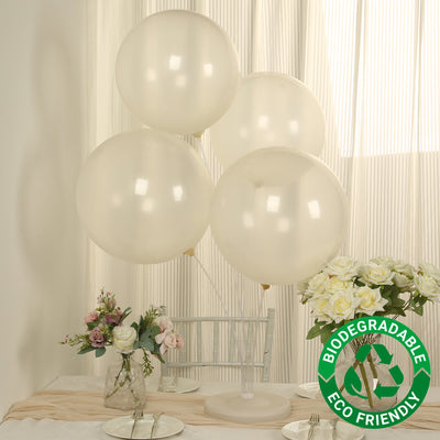 Biodegradable eco-friendly balloons in a minimalist setting