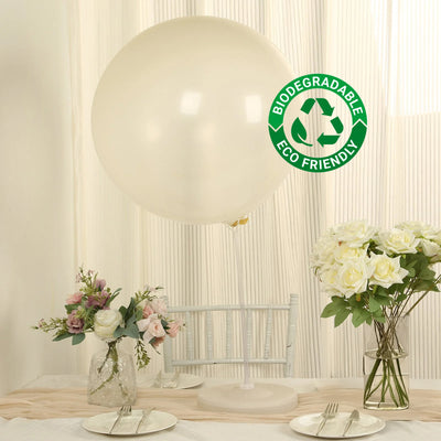 Eco-friendly biodegradable balloon in a studio setting.