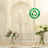 Eco-friendly biodegradable balloon in a studio setting.