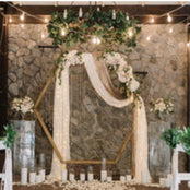 Backdrop Stands & Covers