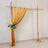 Rustic birch wedding arch with gold drape and yellow floral arrangement