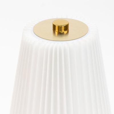 Gold metal shower drain cover with pleated white filter bag