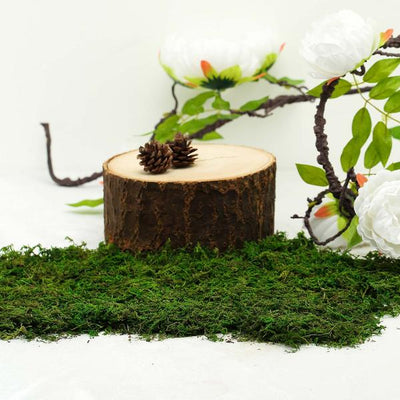 Wooden stump with pinecones and moss, surrounded by flowers and greenery.