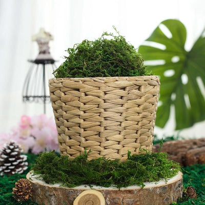 Woven basket filled with moss, set on natural wood slice in a green scene.