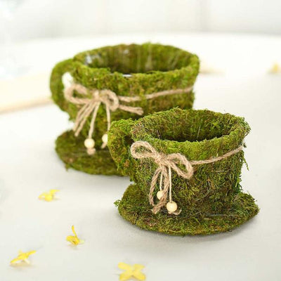 Moss-covered tea cups with twine accents, perfect for decor or gifting.
