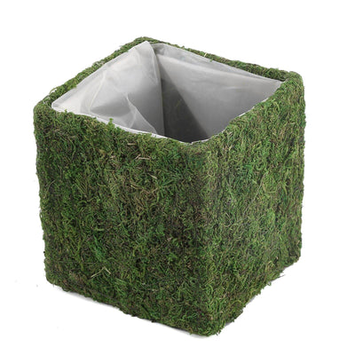 Moss-covered square planter with a plastic liner for indoor or outdoor use.