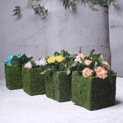 moss for plant pots 4 Pack Green Preserved Moss Covered Square Planter Boxes, Flower Baskets With Inner Lining 6"