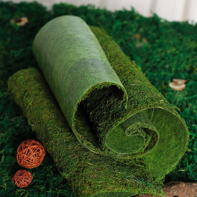 Green moss roll with natural texture on a grassy surface.