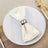 Elegant cream napkin with silver ring on a white plate.