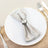Elegant silver napkin with ring on a white plate.