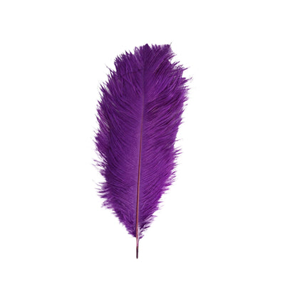Purple feather on a plain background