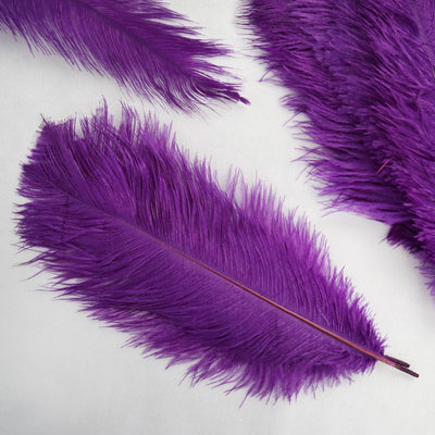 Purple ostrich feathers on a plain background.