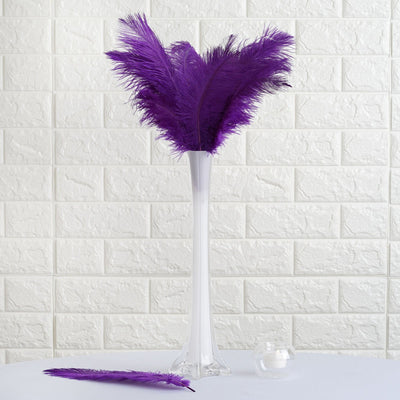 Purple feathers in a clear vase against a textured white background.